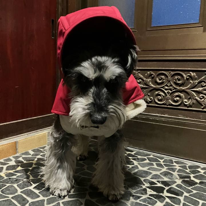 Dbc05d1a a0fc 4948 ba0b 4d3d7e6c20be 1771967597202