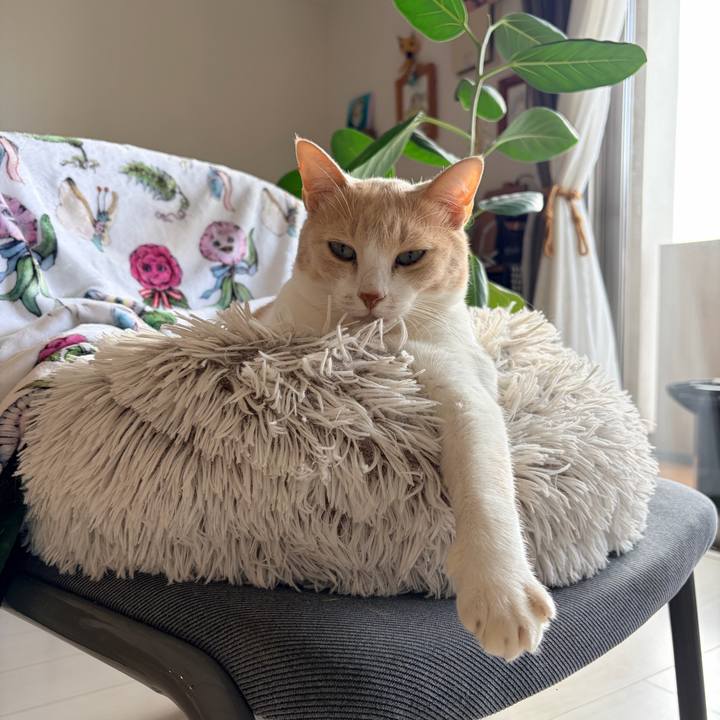 Dbc0805f 5a36 4ad5 8328 c057bb71cec2 1768704696012