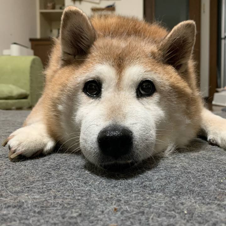 Dbc080fc eb18 4790 831f 5c53b7479b0c 1621594260882