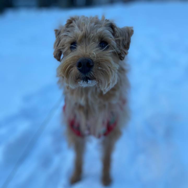 Dbc08bc3 7073 401f b81b 4ddaa77f544b 1640848454571