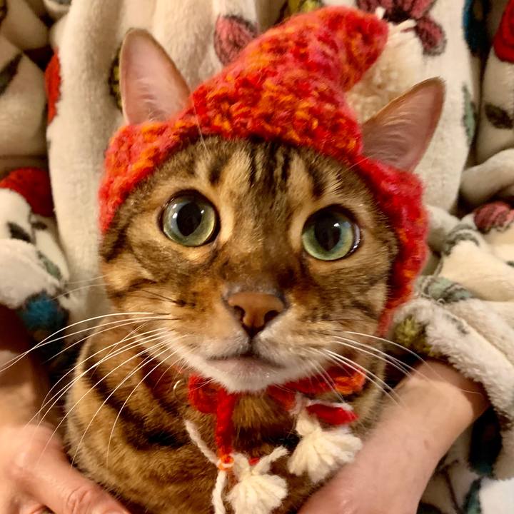 Dbc0b0e6 4a29 46a3 87c1 4a9f407058fe 1545608492501