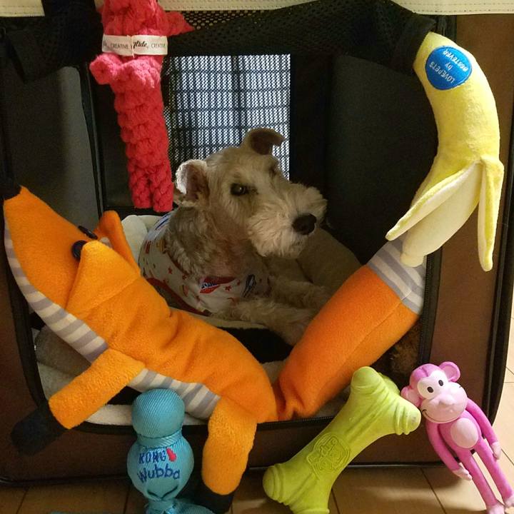 Dbc0e0c2 c843 46f1 9d38 7beb49e54dc4 1507816002882