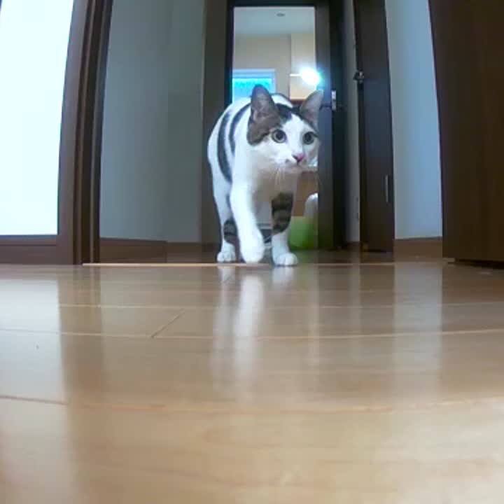 Dbc11332 e6d1 46b6 801c 494122f41672 1513035681094