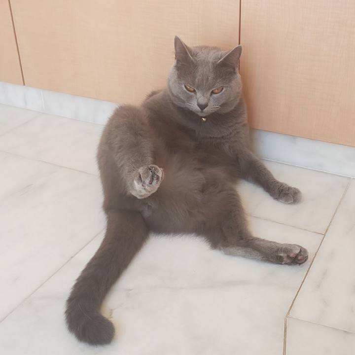 Dbc1b066 138a 4c9b 977d 7b6da651555d 1565047216493