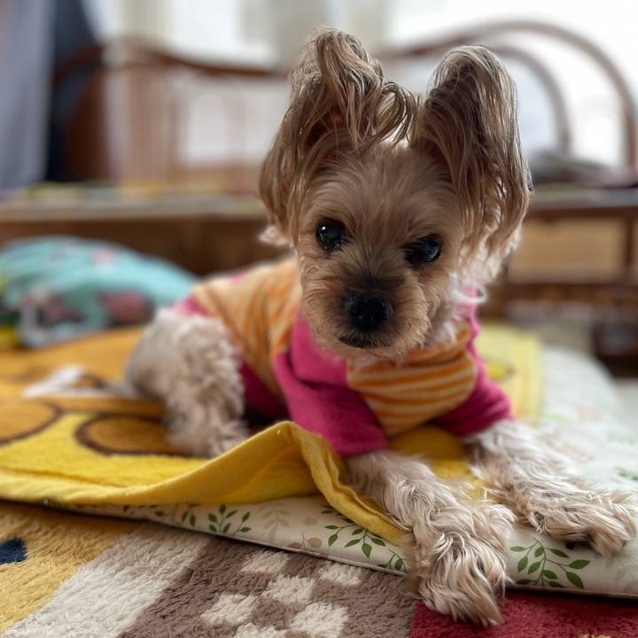 Dbc1c04b 3840 4371 b706 b5a477a5347b 1672395363972