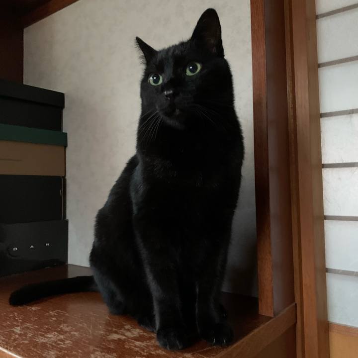 Dbc1c708 0b43 4e3e b5ca ecb921647ffc 1579915562949