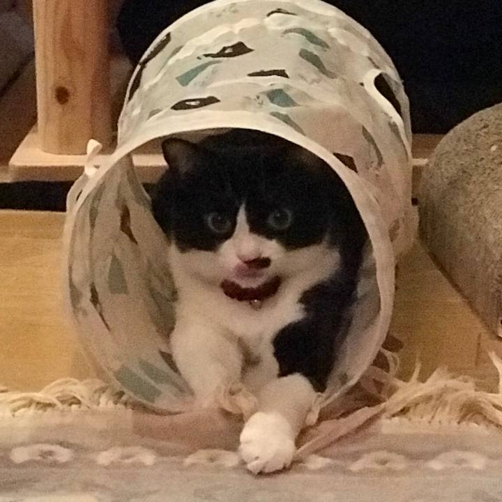 Dbc1f4fb a0b6 4eeb a5cc 1b11eea290b7 1557907266112