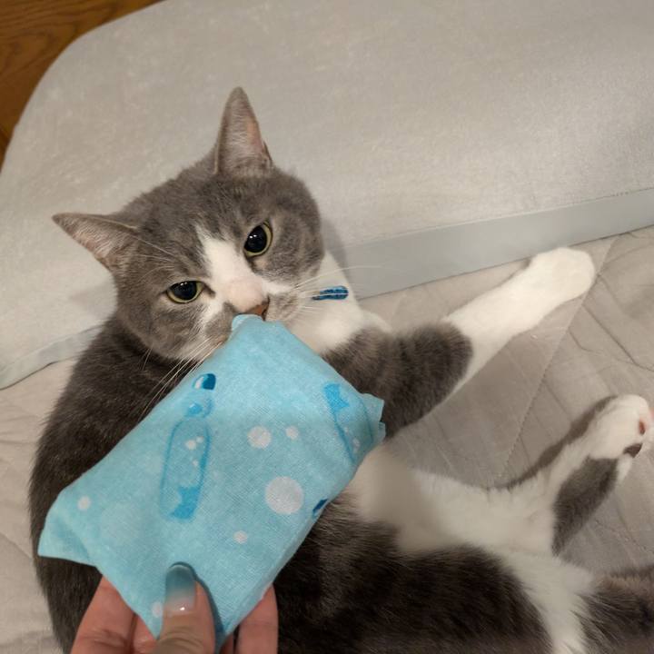 Dbc1fbf1 2621 499d 9358 486e4ee8e6ef 1750861013654