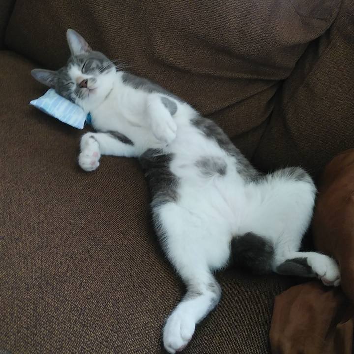 Dbc23588 c653 45ab aa4e 2ebdfb7a4089 1594351005656