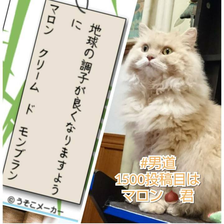 Dbc24521 1cca 45bd a80a 70b05e5fe332 1562580150111