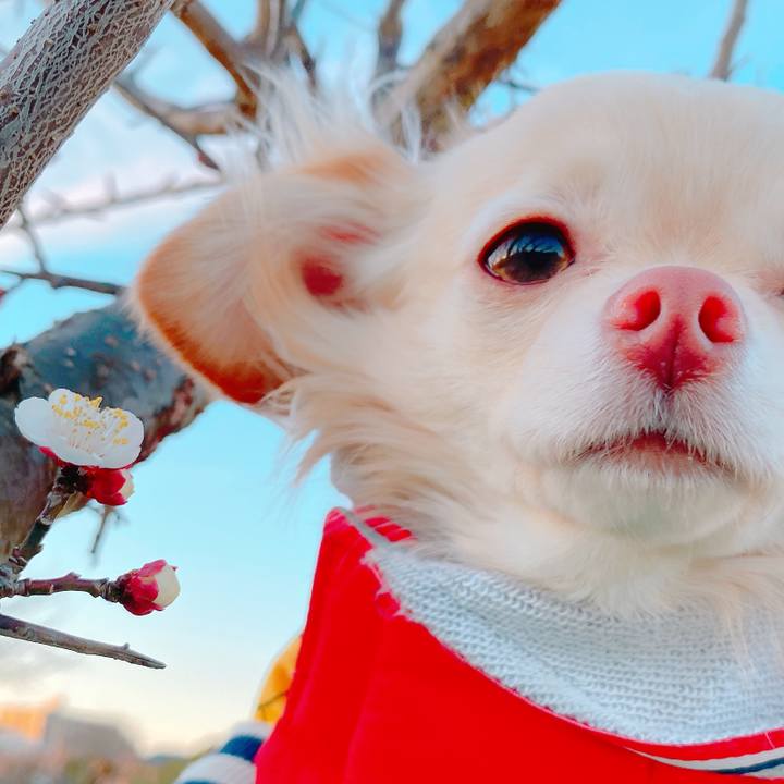 Dbc264c5 f2cb 4521 bf44 1ab5934558b8 1641386546218