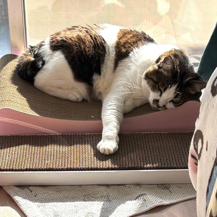 Dbc26acf 88fe 4349 96f5 e1beb7fc3b2c 1769921631766