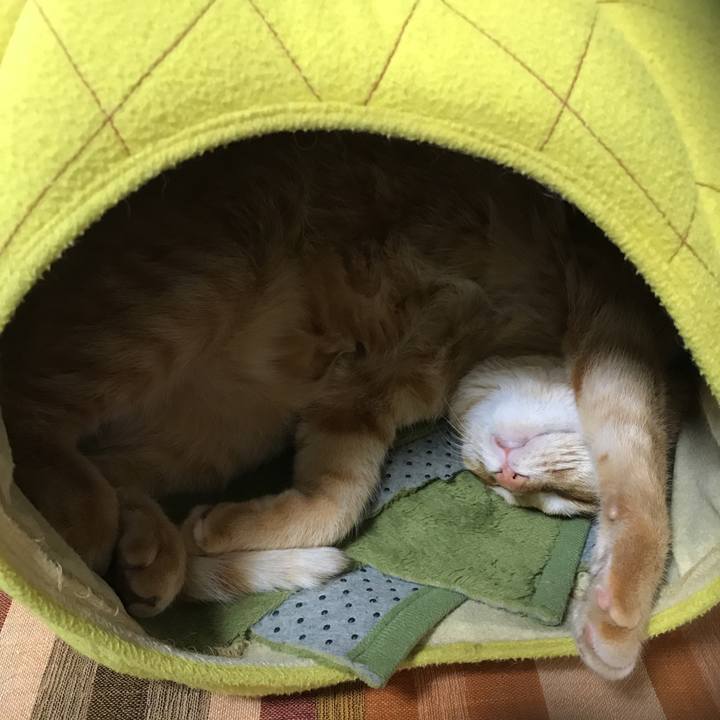 Dbc26e7c 3cb2 451b 8bb6 9ec081740ba4 1549418301905