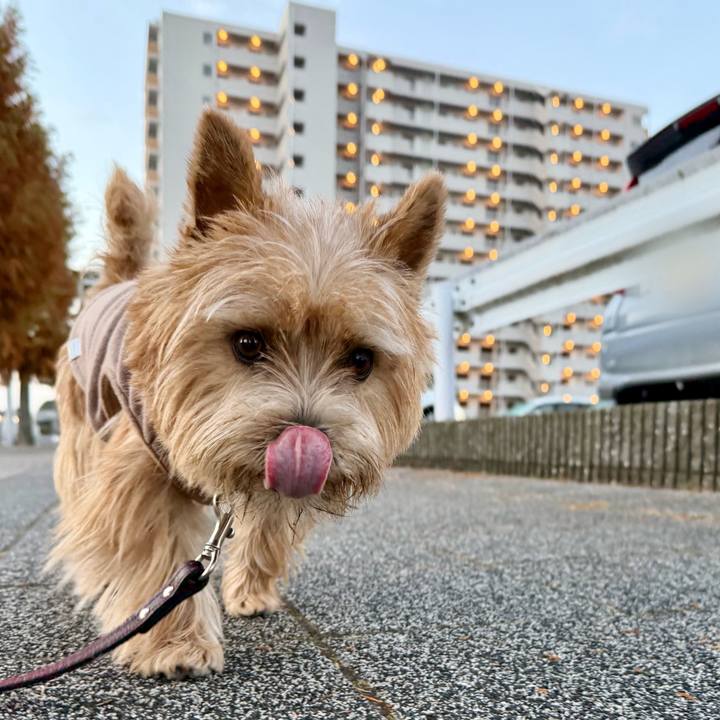 Dbc28697 c199 48e1 bfea 8c8820e7e1c6 1764682895767