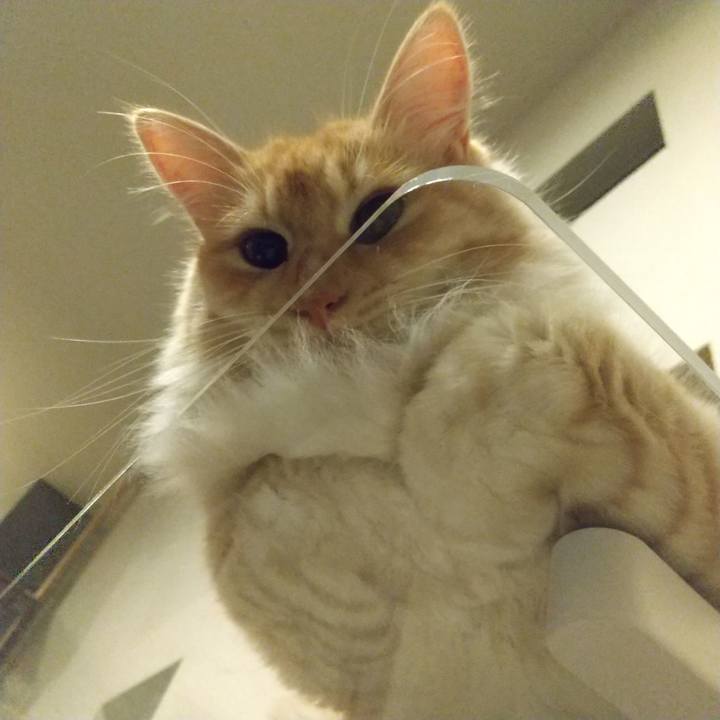 Dbc2b7e0 29b3 4038 b57a ef44dc63dbf2 1625576146951