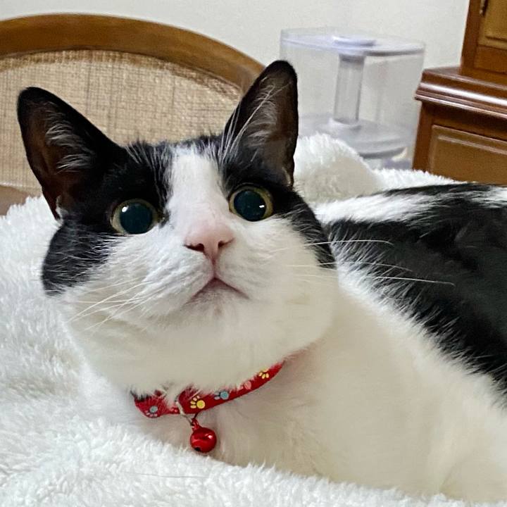 Dbc2d676 43b8 4068 9788 64673a13c0c7 1648421644726