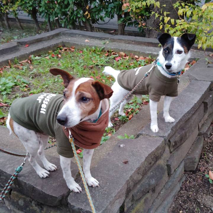 Dbc2db6e 89e2 4ab5 88c9 abe8302a8879 1732052936396