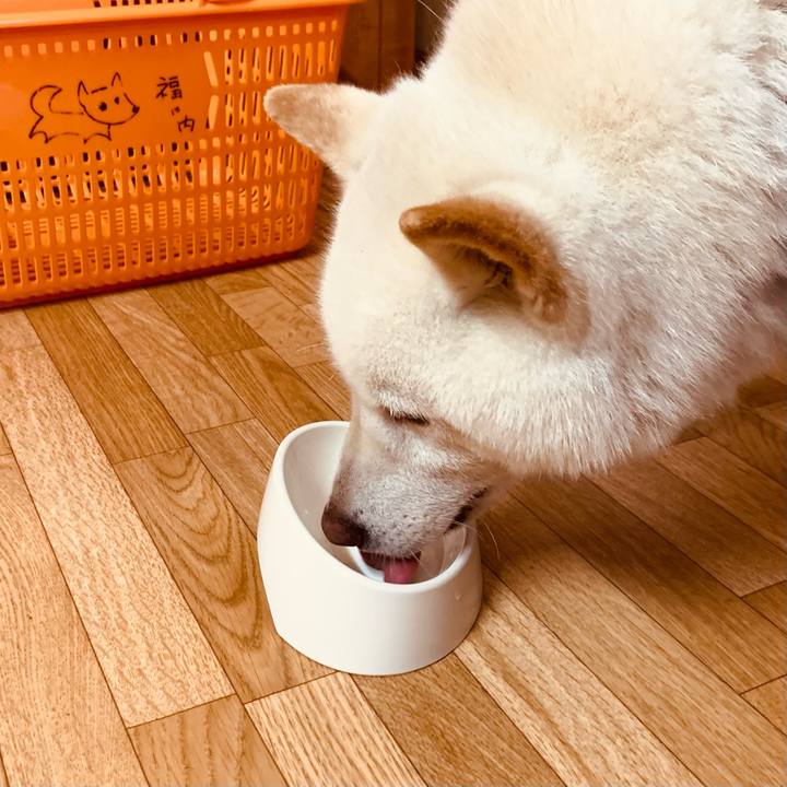 Dbc2e97d e121 4e01 85ea f93a4dc61195 1653424021678