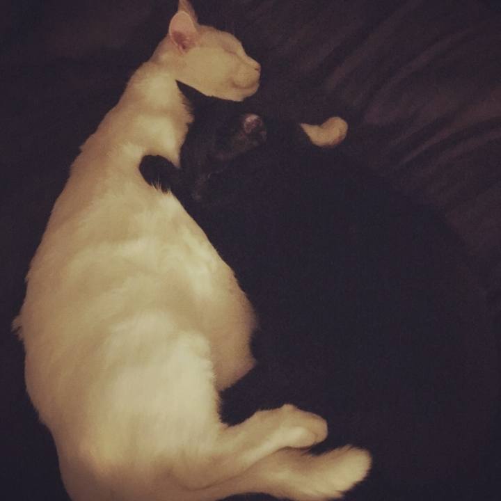 Dbc2f5f9 0ea0 4ab2 8761 f9d7520194ac 1512145614259