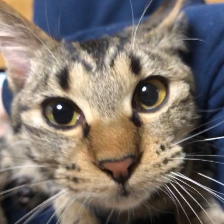 Dbc355fe 7448 45ff ac65 99434505ac50 1736336163628