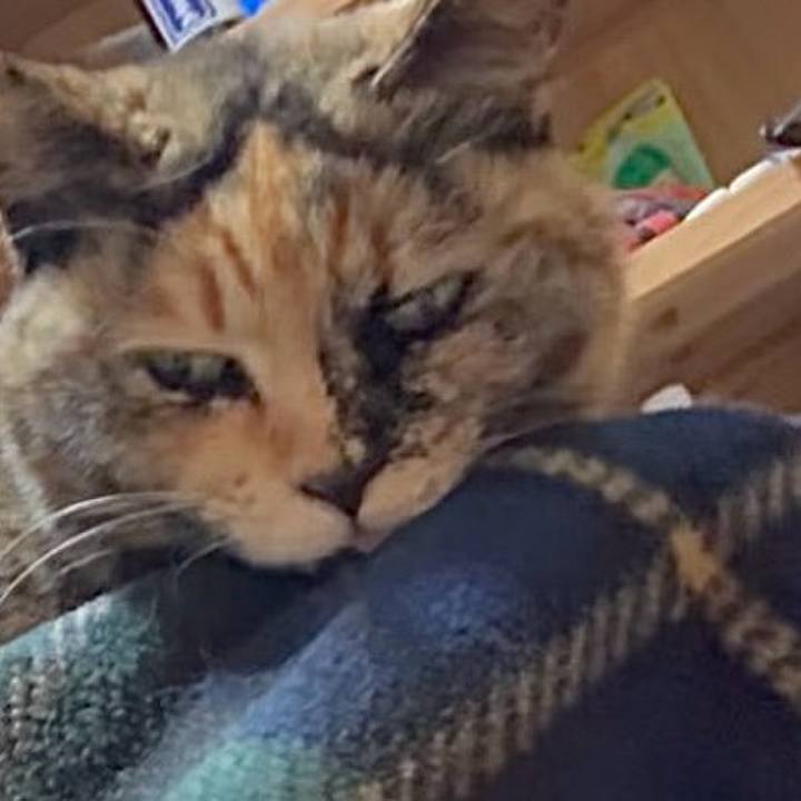 Dbc35678 4747 4e16 970f 14eadf8d8c41 1773399663907