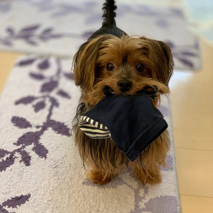 Dbc377ad ac93 4c3a af44 0d80bc00e5f7 1539055744660