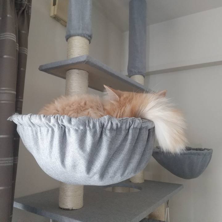 Dbc39e44 003f 443a b65d 6b330ddd41fa 1651645622365