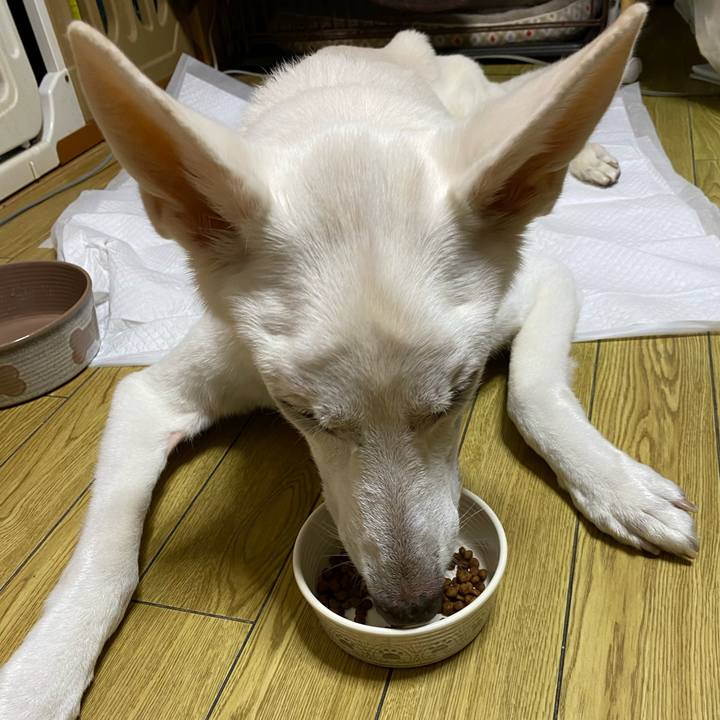 Dbc3a9e3 545a 4445 823d 46dad57e6e87 1605741792420