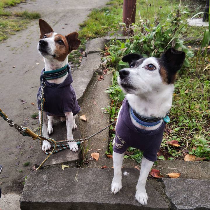 Dbc42554 a50a 45b0 883c d8b2cd1a1810 1729030814876