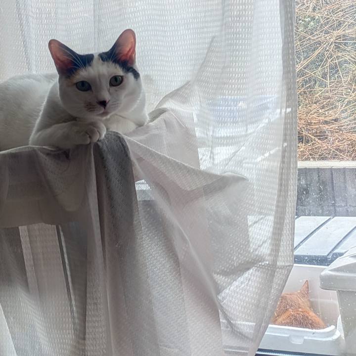 Dbc45405 068c 4f5d bc80 6a96451c28e0 1763526750824