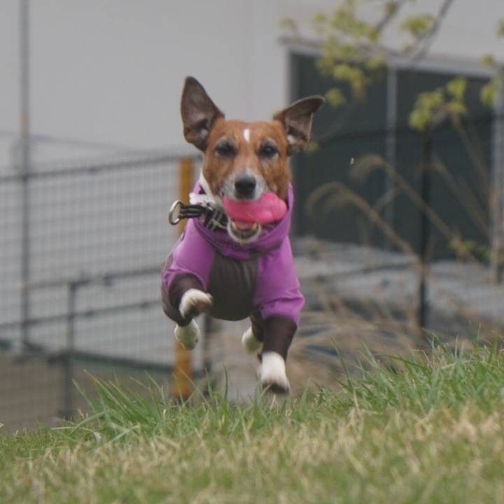 Dbc45d9d 7f48 47d1 815b 47c6b3f12c4b 1586477987613