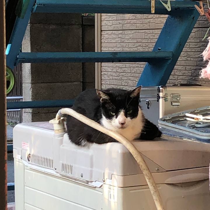 Dbc47020 f71e 4d9c ae7c ca504bd7055c 1633430424641