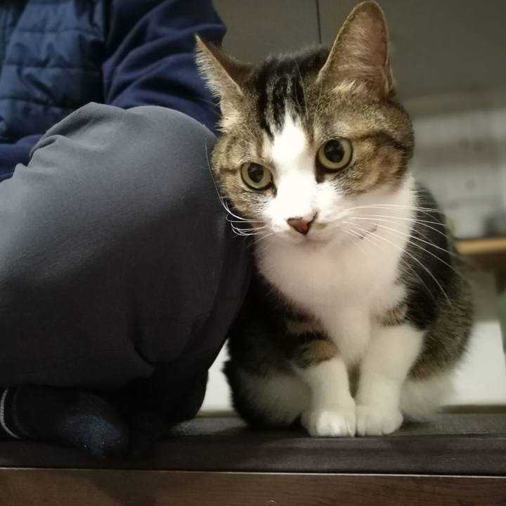 Dbc4abed 8c3d 48c1 a6a5 a710f9be50f1 1513251669769