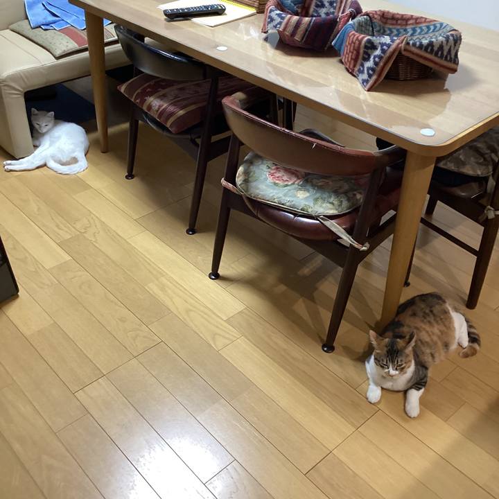 Dbc4d742 289a 425f a977 19a49c1b347d 1648945372945