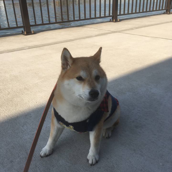 Dbc4ea10 fa6f 4832 91be 87dc1c63dc58 1546929638412