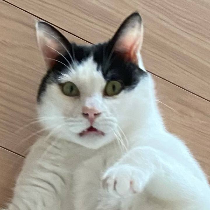 Dbc4fde5 cf73 4379 b873 5fb4abe15b60 1588505597012