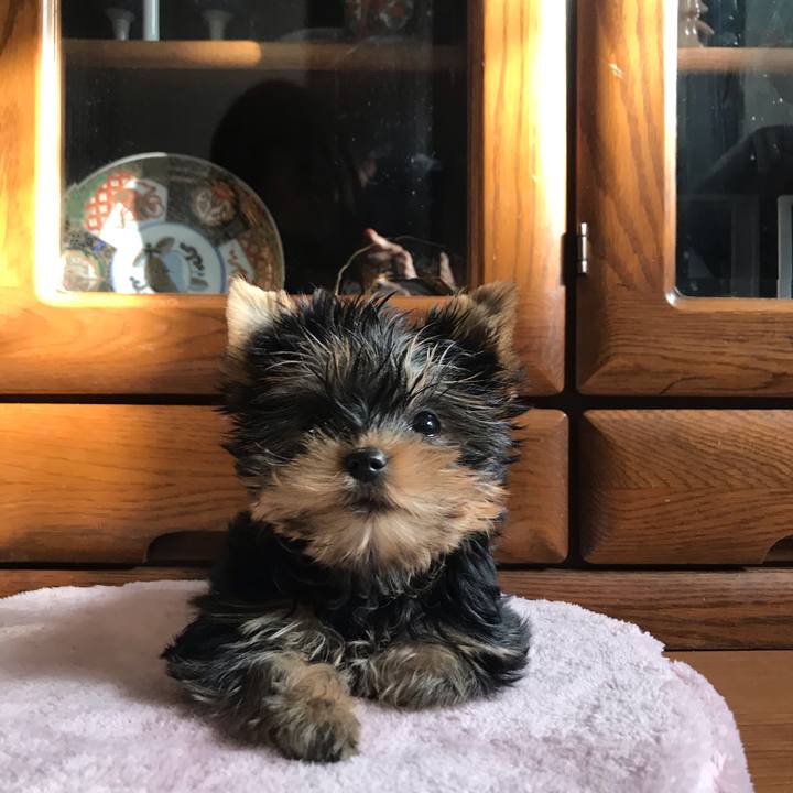 Dbc52788 057c 445a 9758 e792aadde0f5 1613887688964