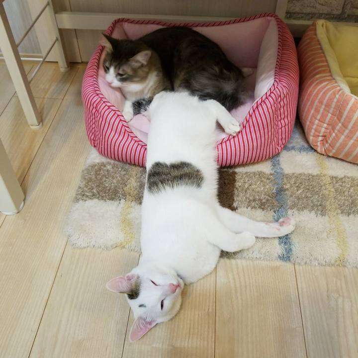 Dbc53a17 a008 4c6a af68 acde10e74809 1518432769838