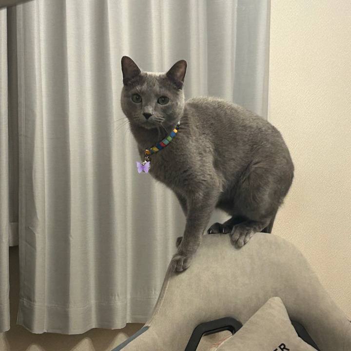 Dbc55060 8e0e 4a2f 92ed b32ba94fe90e 1736150986765