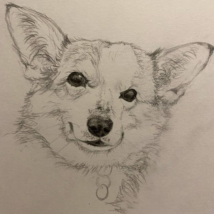 Dbc573b1 865a 4798 a26e 0c29f991d9c8 1645108886611