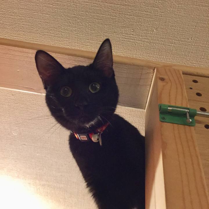 Dbc57bdd 454a 4acc 9f41 7937b8f2e532 1576661778346