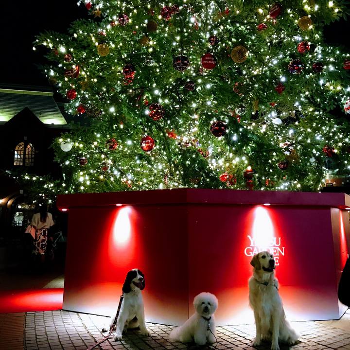 Dbc5836d a707 4be0 840f deca54106e33 1510284851526