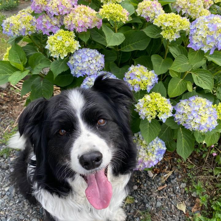 Dbc5b087 f31c 4c79 90f0 23b96fced138 1653087622637