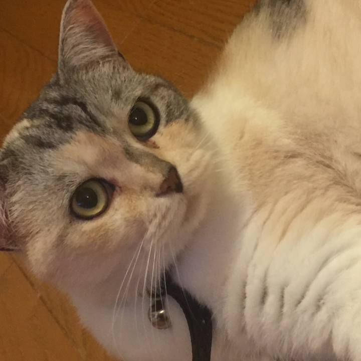 Dbc5bc3c 8c77 4d2d bedf dbcb4edf47ac 1563983739187