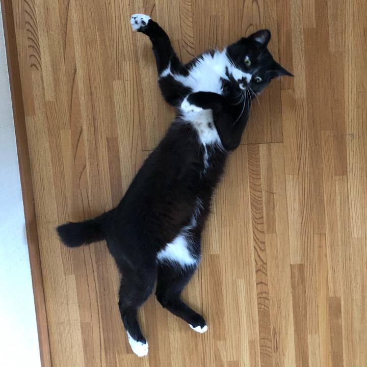 Dbc5c06a a5d7 47ac 85bf 319e4f5fdfca 1627271100682