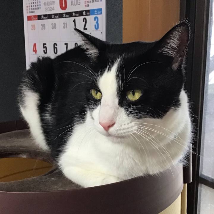 Dbc5dc26 fe87 465c 94b6 1f772533a1ee 1724050906477