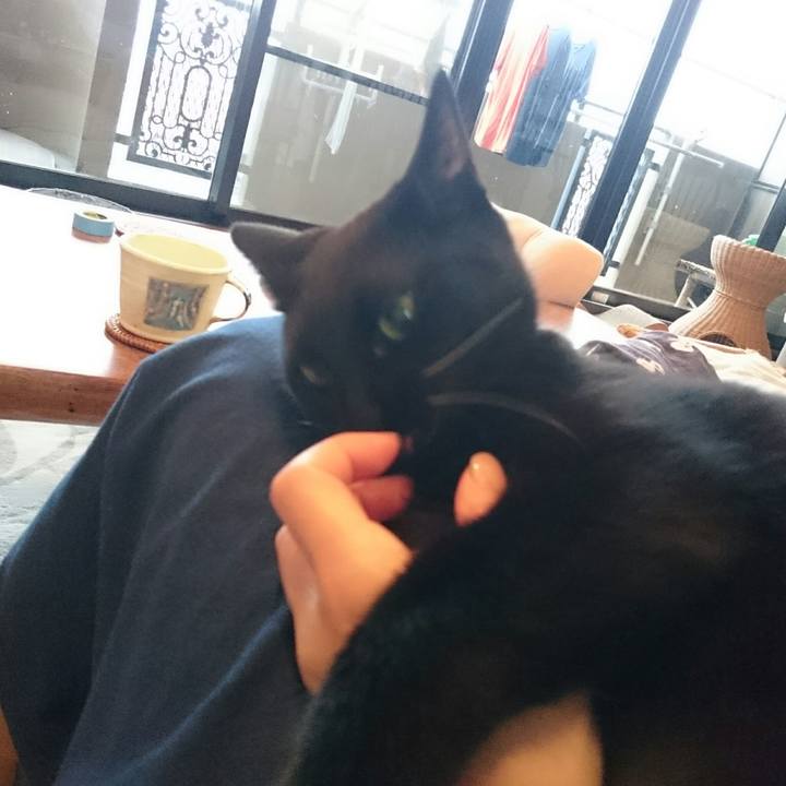 Dbc5fd49 4148 4bea 8a7b af330b0bdd8c 1510099140239