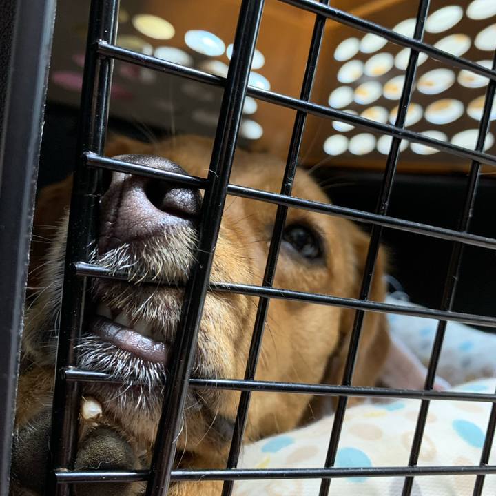 Dbc621d2 8763 49cd 9185 b1b6582feef5 1625310924334