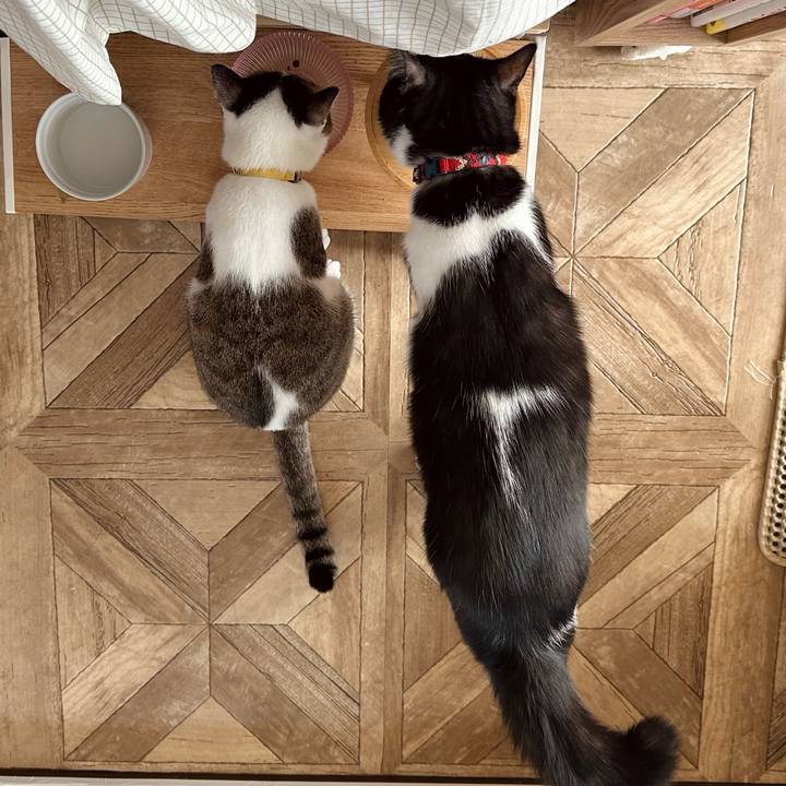 Dbc63acd d525 4c78 b7cf 0a7af5d5c2bf 1764645025622