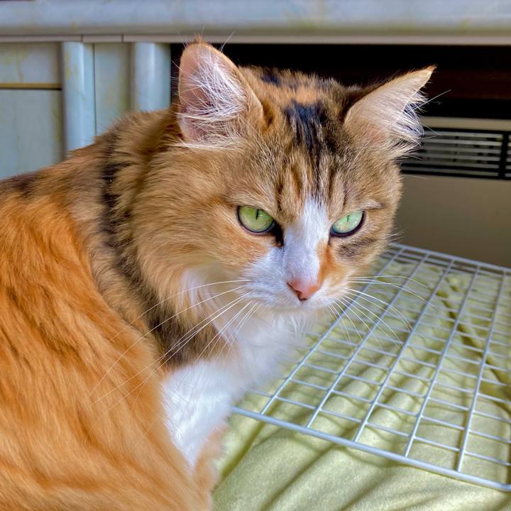 Dbc6402f 8993 4fb8 b512 0cc98b08d62f 1704965450516